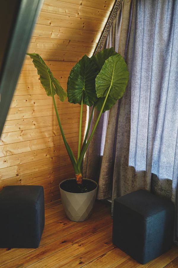 Appartement Kazbegi Folk Extérieur photo